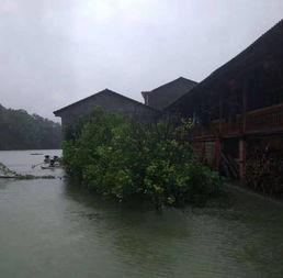 网友爆料山洪视频,视频记录大自然无情瞬间  第2张