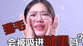 弗列加特最新爆料,尖端科技引领未来军事变革  第2张