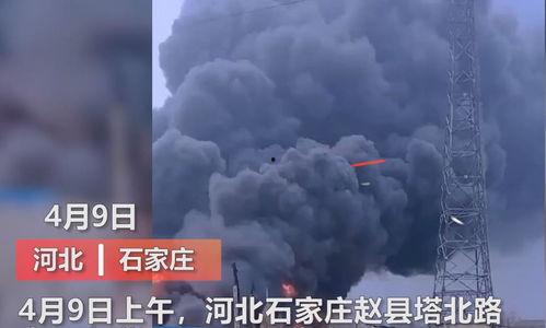 海丰月亮爆料视频大全最新,揭秘神秘事件背后的真相 第3张 海丰月亮爆料视频大全最新,揭秘神秘事件背后的真相 第3张