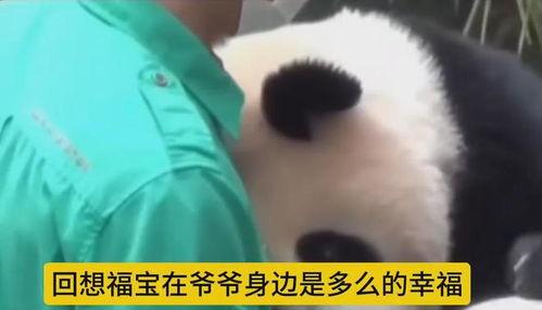 爆料爷爷的视频福宝,揭秘爷爷视频中的神秘传说 第1张 爆料爷爷的视频福宝,揭秘爷爷视频中的神秘传说 第1张